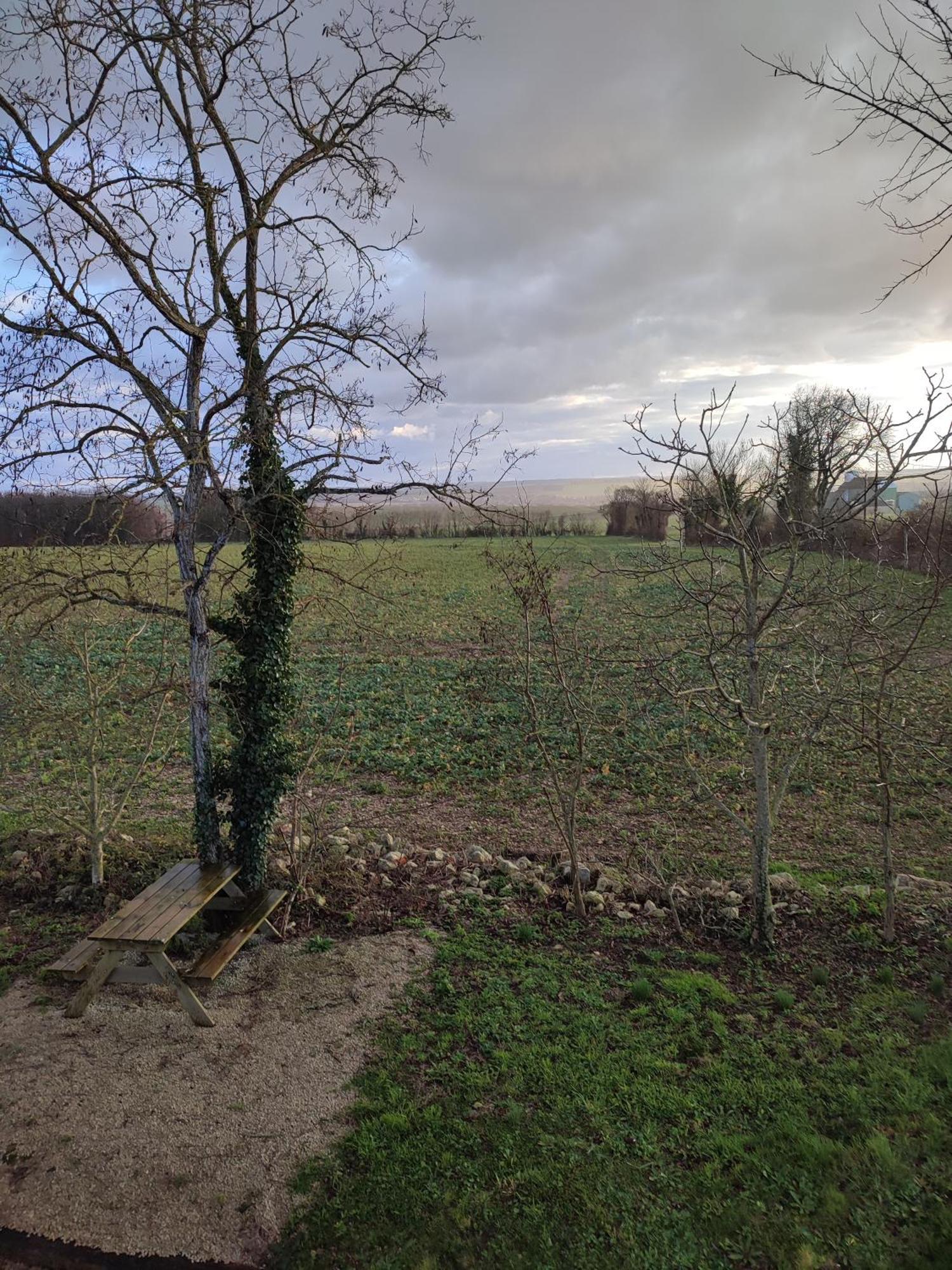 Gite De Montrancon Landes  Exterior foto